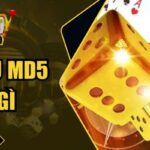 Tài Xỉu MD5 Là Gì – Khám Phá Dòng Game Cá Cược Đình Đám